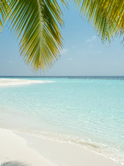 주술회전 논컾 일상물