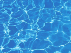 [우유구마] 천춘 淺春의 랑데부 1