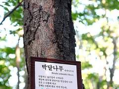 그동안 뛰었던 커뮤