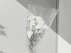 [소오시하나 유우 / 여성 / 3학년]