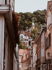 Lostark 개인 썰 백업