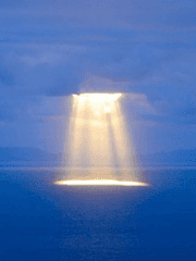 플라밍고 겁주기 금지구역