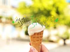 샛별유치원 풀잎반 선생님 4