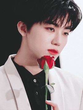 ✤　𝙄𝙙𝙤𝙡 𝘿𝙧𝙚𝙖𝙢