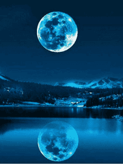 시간여행자의 첫 여행_ 바다 너머의 이상한 왕국