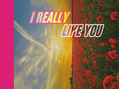 I REALLY LIKE YOU 4