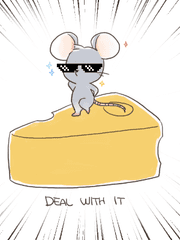 키에사의 리퀘박스