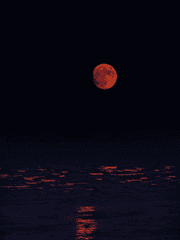 구배라 아포칼립스 AU 합작 공지