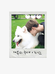 개복치 늑대 이제노 ver