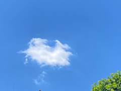 담배 한 개비의 시간