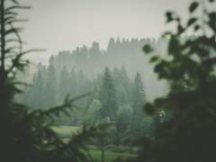 【천관사복 5부 스포컾】 소서小暑-어느 오래된 비바람의 노래