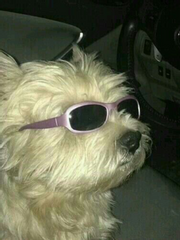 내오동에 무슨일이 일어나고 있나요?