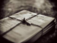 어떤 날에는 고루하게도 뼈톱을 갖고 싶었다