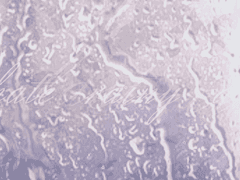 우리의 마지막 커튼콜을 위해서.