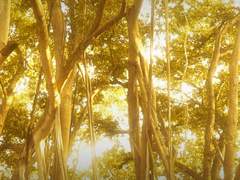 전능함의 탈을 쓴 이에게 감히 고하기를,