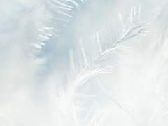 바람의 무게란,