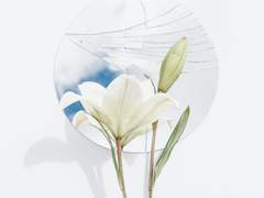 [리암루나] 이별의 아침에 약속의 꽃을 장식하자