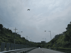 헉 저기 구원의 마왕 날아간다!