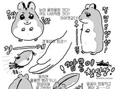 21.깜콩이와의 만남