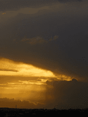 여름의 파편을 엿보는 꿈