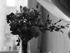 幸運 挫折 不運