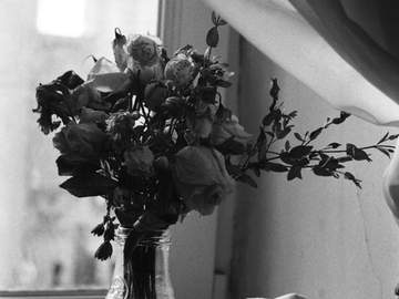 幸運 挫折 不運