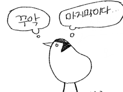 키위 선배님 번외