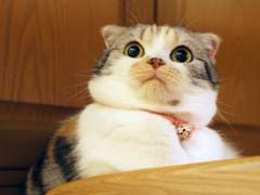 127막내 김여주 모먼트 Special