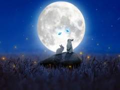 [유진래빈] 달에는 토끼가 산다.