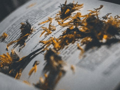 어머, 우리 딸이 너보다 더 똑똑하겠다 얘.