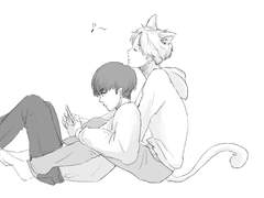 고양이민연<시작>