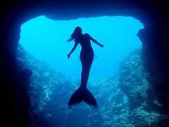 [비담덕만] Lost Pearls 01