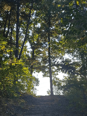 나를 돌보는 시간