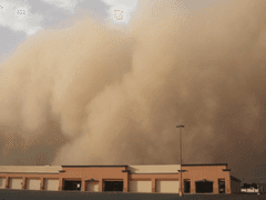 사막에서 파도찾기 上