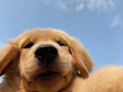 니 오늘 뭐 하는거 있나?