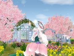 210601 봄의 요정