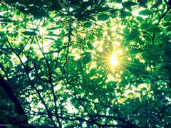 서투른 푸른 비누향