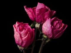 다정함은 자신을 깎아 나오는 부산물과도 같고...