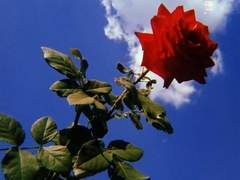 Chapter 5: Silver Lining