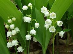 [ 아하하, 그분은 저를 끔찍히 아껴주나보네요~ ]