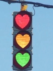 최애를 믿지 마세요