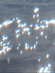 황야 속 소년들