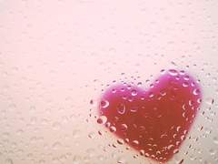 [줄리시즈] 여름 감기