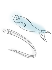 그저 의식의 흐름일뿐