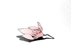 dear my distant spring