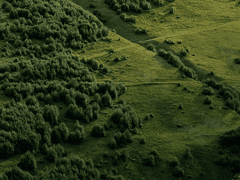 토요일의 미트파이