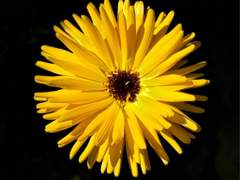 [우시시라] KIIRO