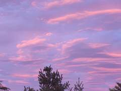 물에 잠긴 인어와 주계미