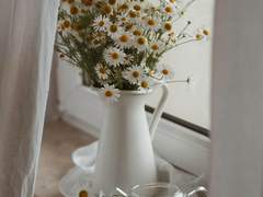 17ㅣthe perks of being a wallflower