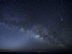 모든 것의 시초.